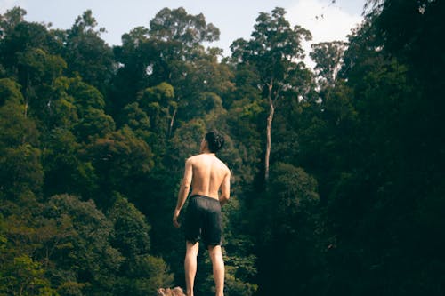 Back View of a Shirtless Man in Shorts Standing near a Forest 
