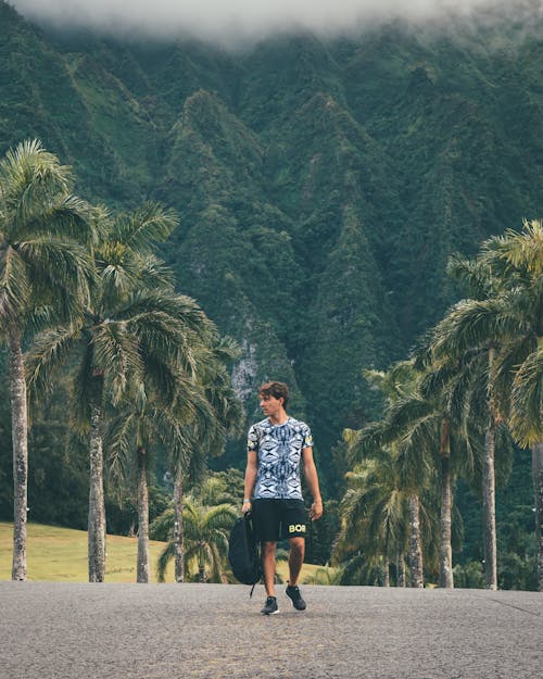 Безкоштовне стокове фото на тему «Гаваї, Денне світло, дерева» стокове фото