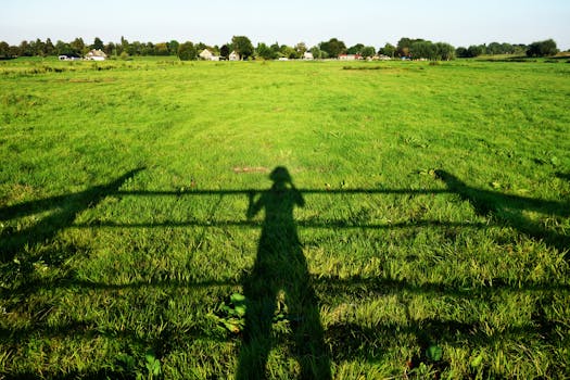 Kostenloses Foto zum Thema: acker, bauernhof, baum
