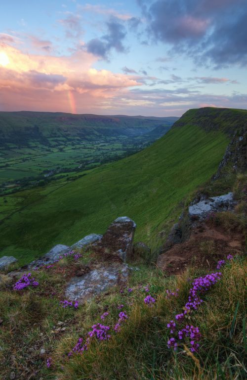 Free Breathtaking mountain landscape with vibrant sunset and wildflowers, showcasing nature's beauty. Stock Photo