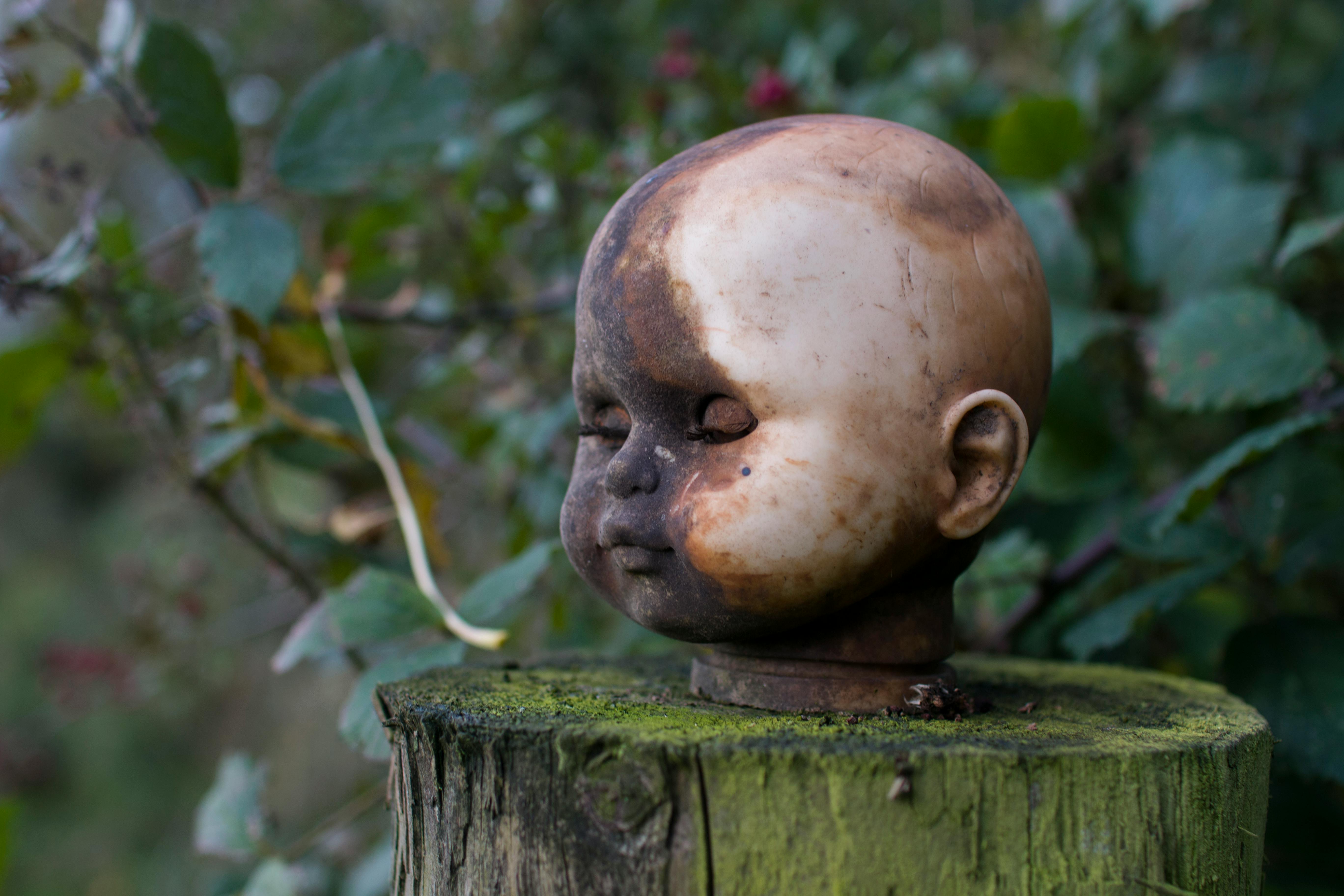 Free stock photo of Doll head, head
