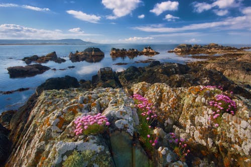 Rock Formations and Ocean during Day