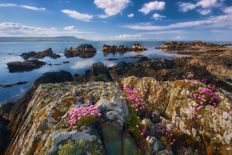 Rock Formations And Ocean During Day