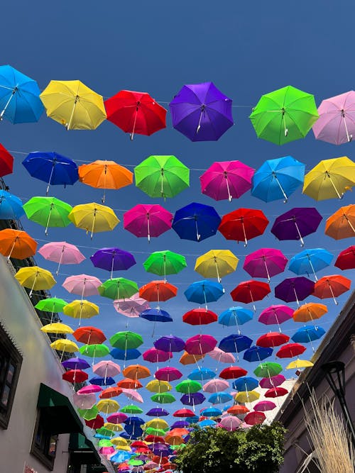 View of Colorful Umbrellas Hanging above a Street