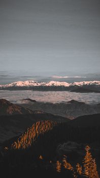 Stunning sunset view of snowcapped mountains and trees in scenic landscape.