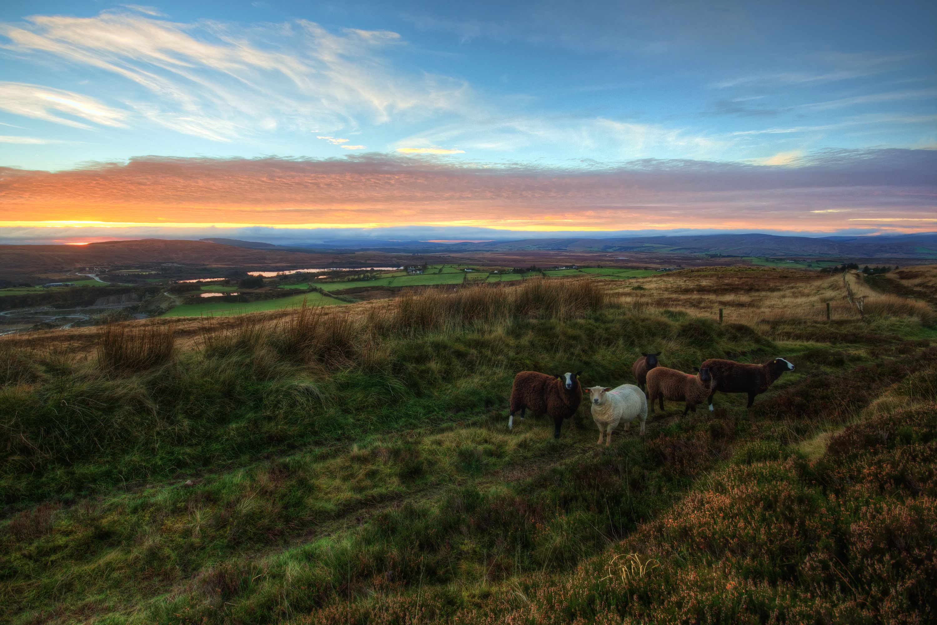 Kostenloses Foto Zum Thema Abend Acker Ackerland Kostenloses Foto Zum Thema Abend Acker Ackerland