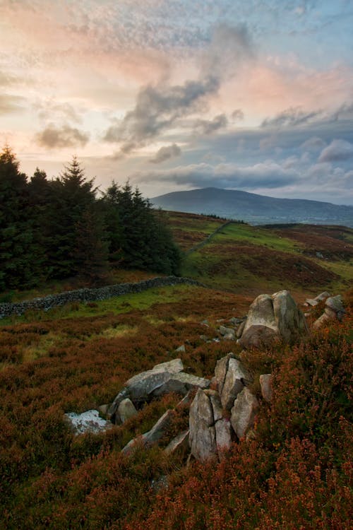 Gray Rocks on Hill