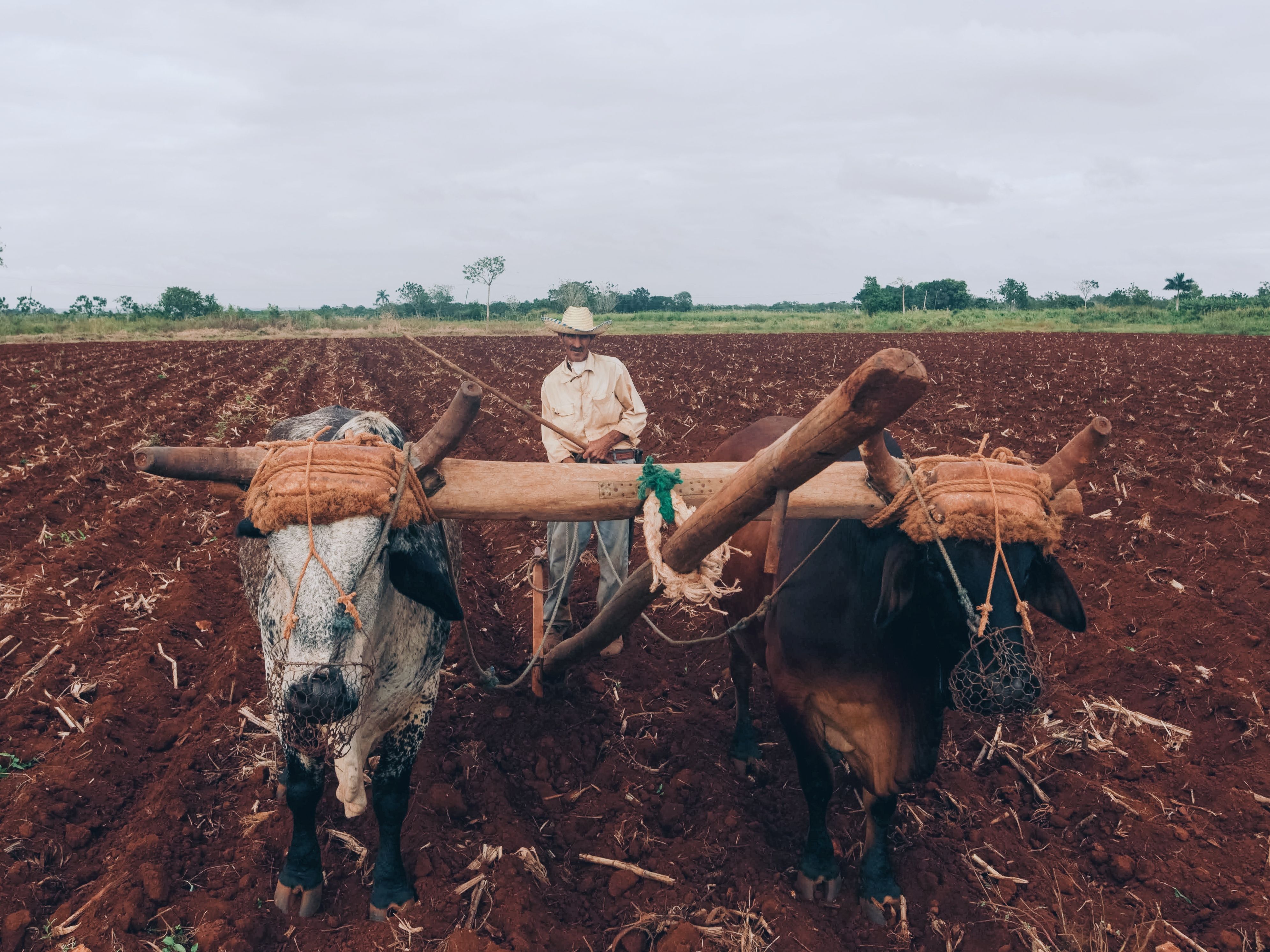 Mangueira de Irrigação