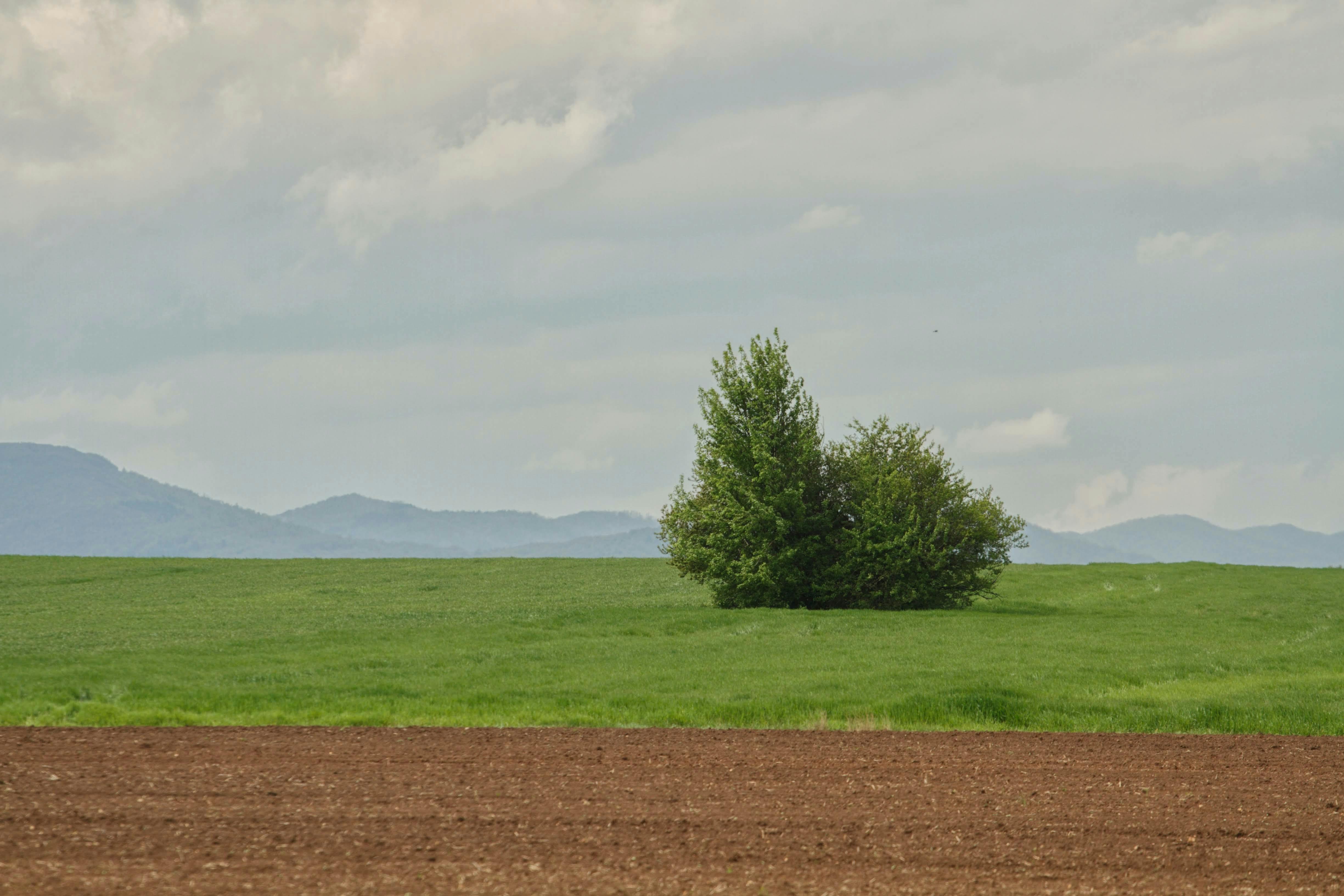Free stock photo of agriculture, beautiful, cloud, color, country, farm, field, grass, hayfield