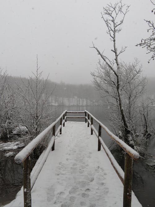 サイレント, 冬, 平和的の無料の写真素材