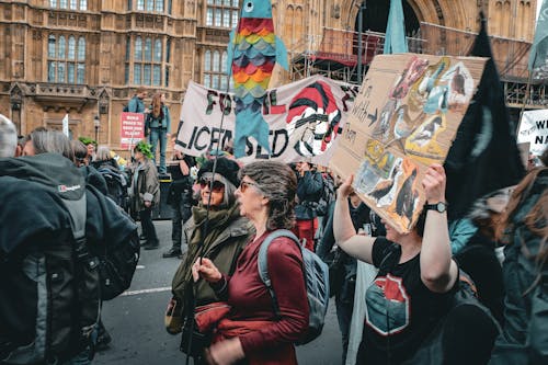 Ingyenes stockfotó bannerek, becsapódás, demonstráció témában