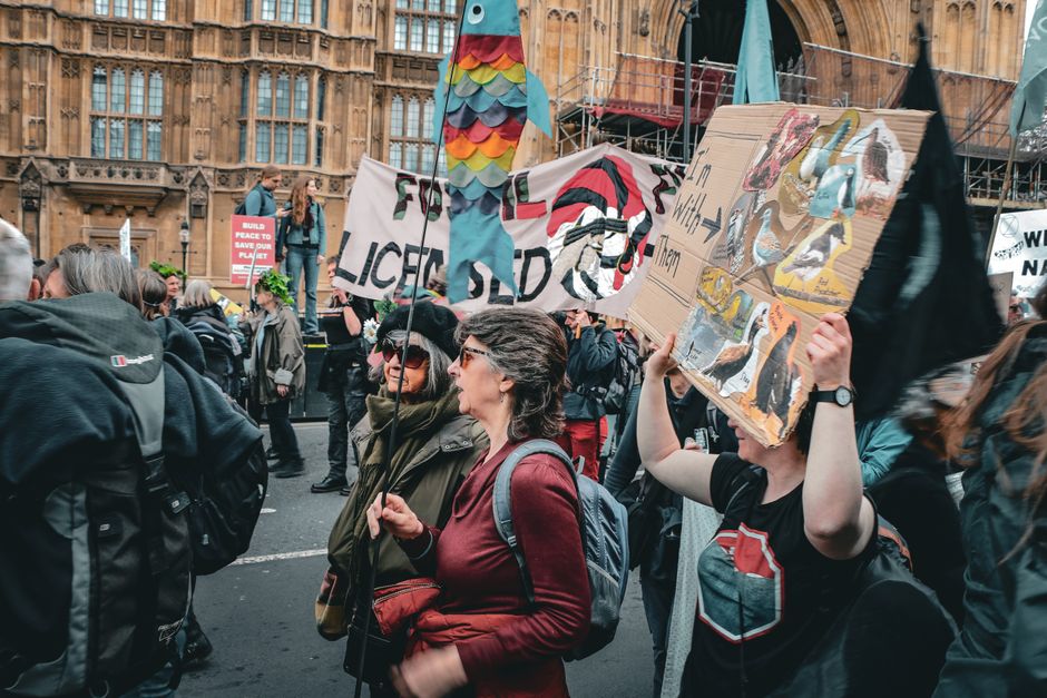 A vibrant protest in London, England showcasing environmental concerns with creative signs.