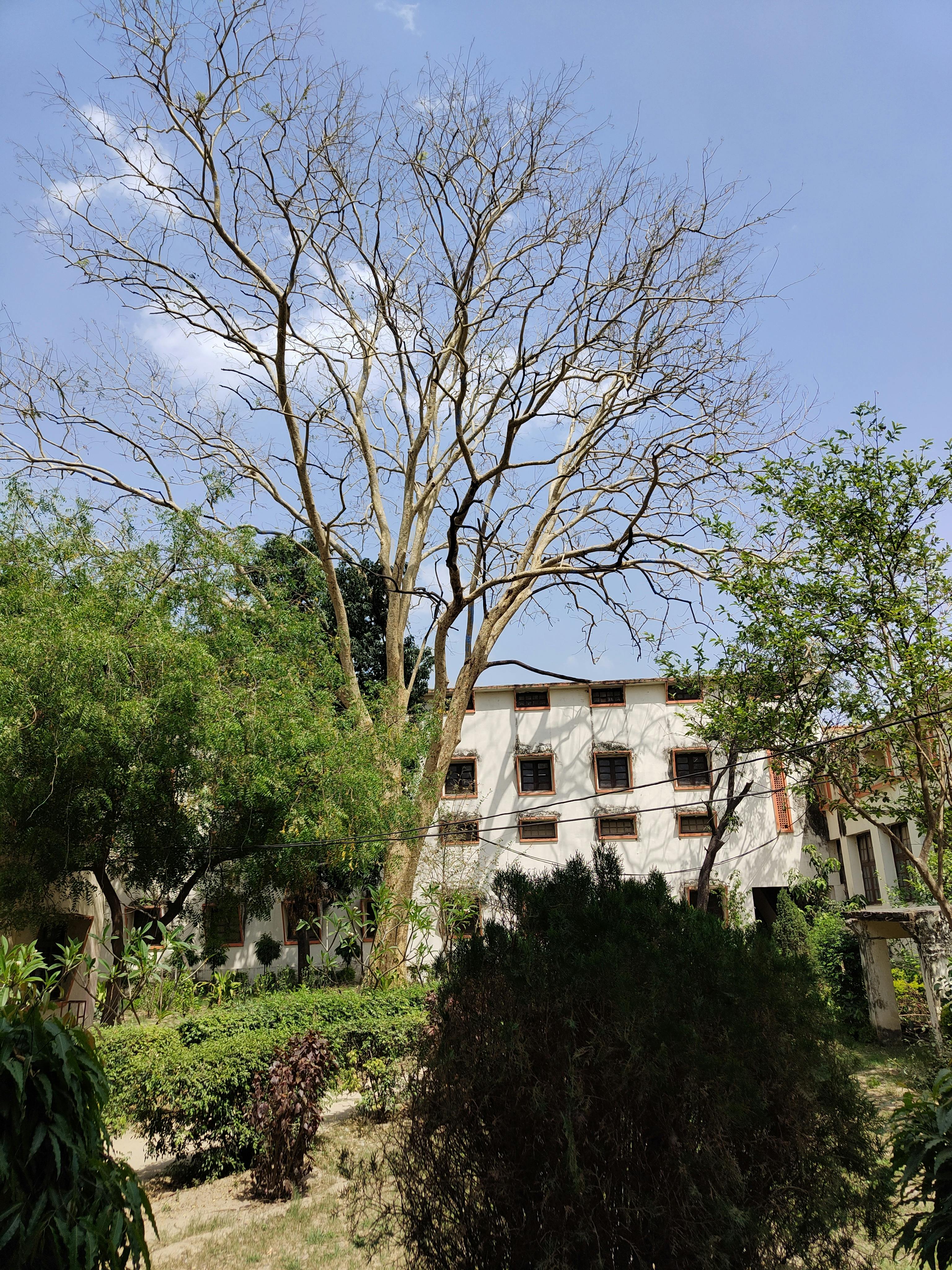 Perbandingan smartphone flagship iPhone vs Android