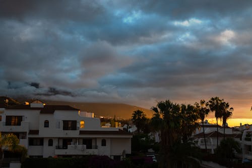Overcast over Houses and Palm Trees in Town