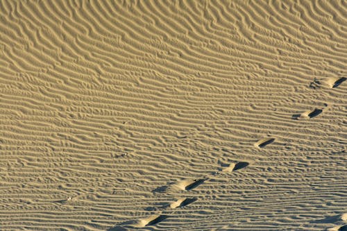 Footsteps on Desert