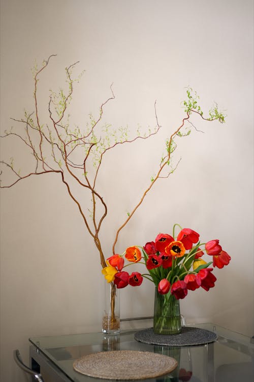 Tulips in Glass Vase on Table