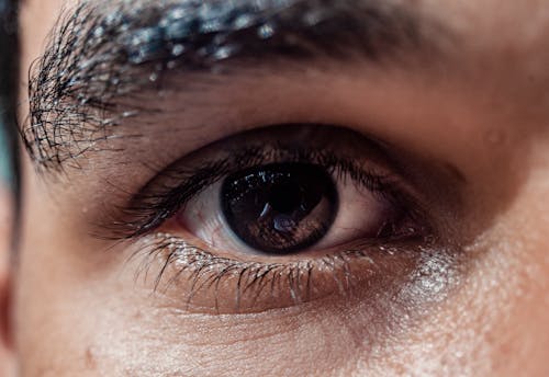 Macro Photography of Person's Eye