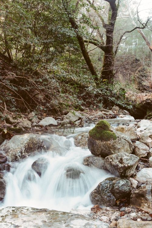 Free Tranquil forest creek cascading over moss-covered rocks, creating a serene natural scene. Stock Photo