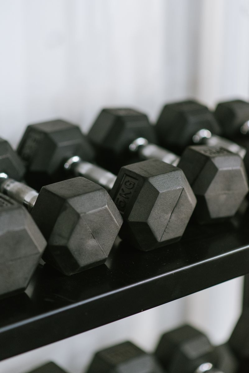 Ernaehrungsplan muskelaufbau homegym basics: practical guide overview