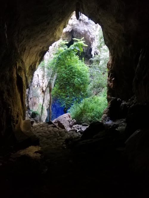 동굴, 빗방울 기술, 신비한 풀의 무료 스톡 사진
