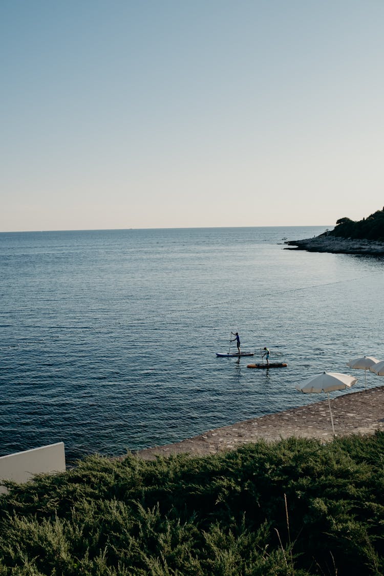 People Paddling In Bay