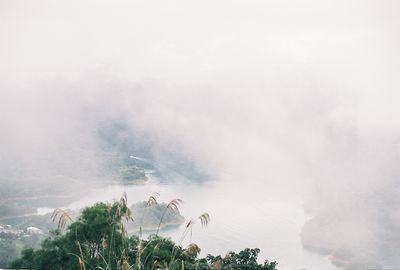 云海峰林