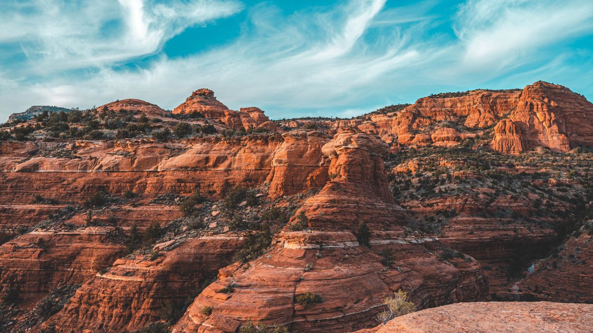 Free Samples in Mesa, AZ: Updated 2026 List for Local Winners