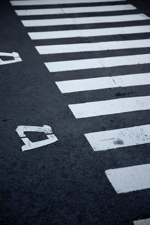 63 Free CC0 Zebra crossing Stock Photos 