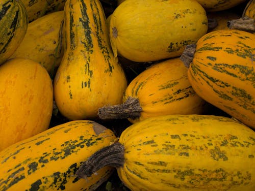 Close-up of a Bunch of Spaghetti Squashes