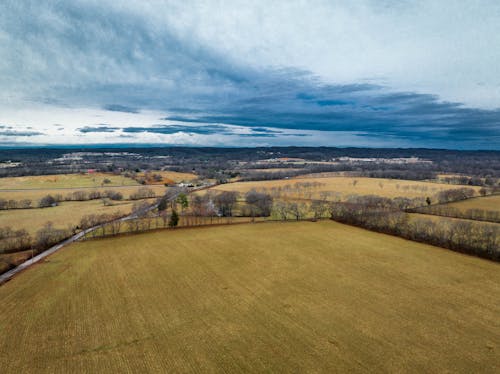 Kostnadsfri bild av höst, karg, landsbygden