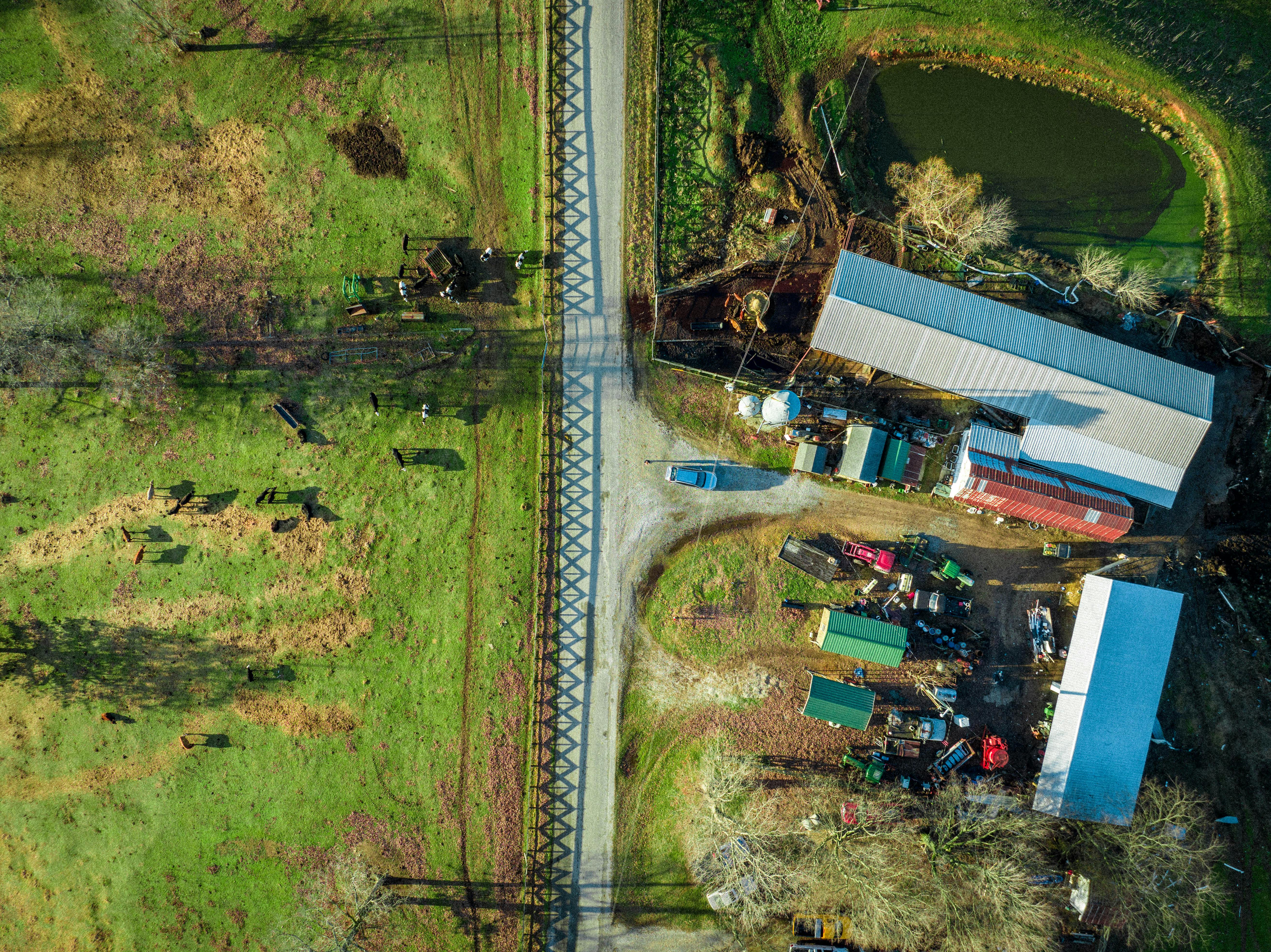 sustainable crawfish farming pond - crawfish