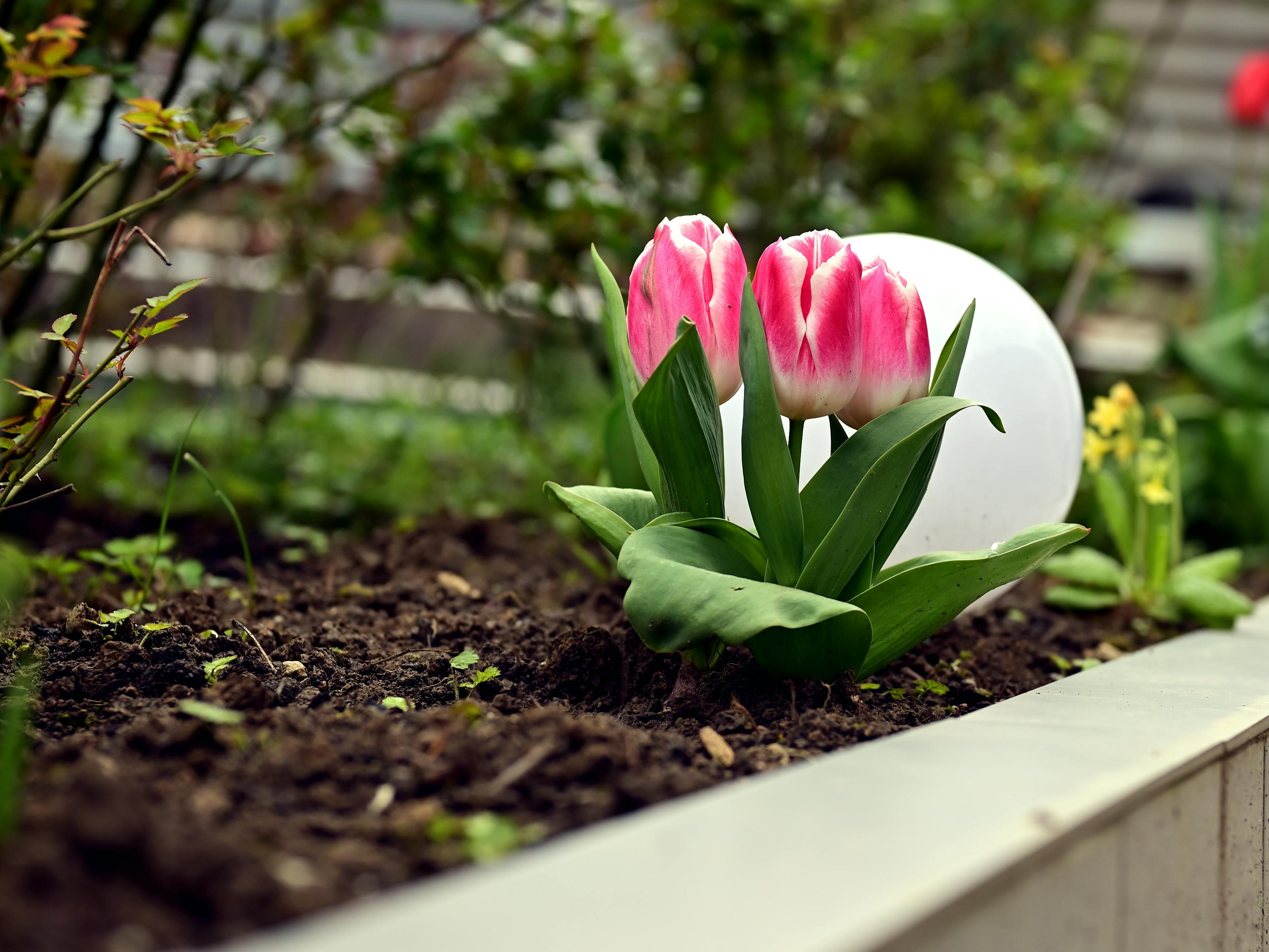 gardening, gardening leave, gardening tools, gardening gloves, gardening leave meaning, gardening hoe, gardening shoes, garde