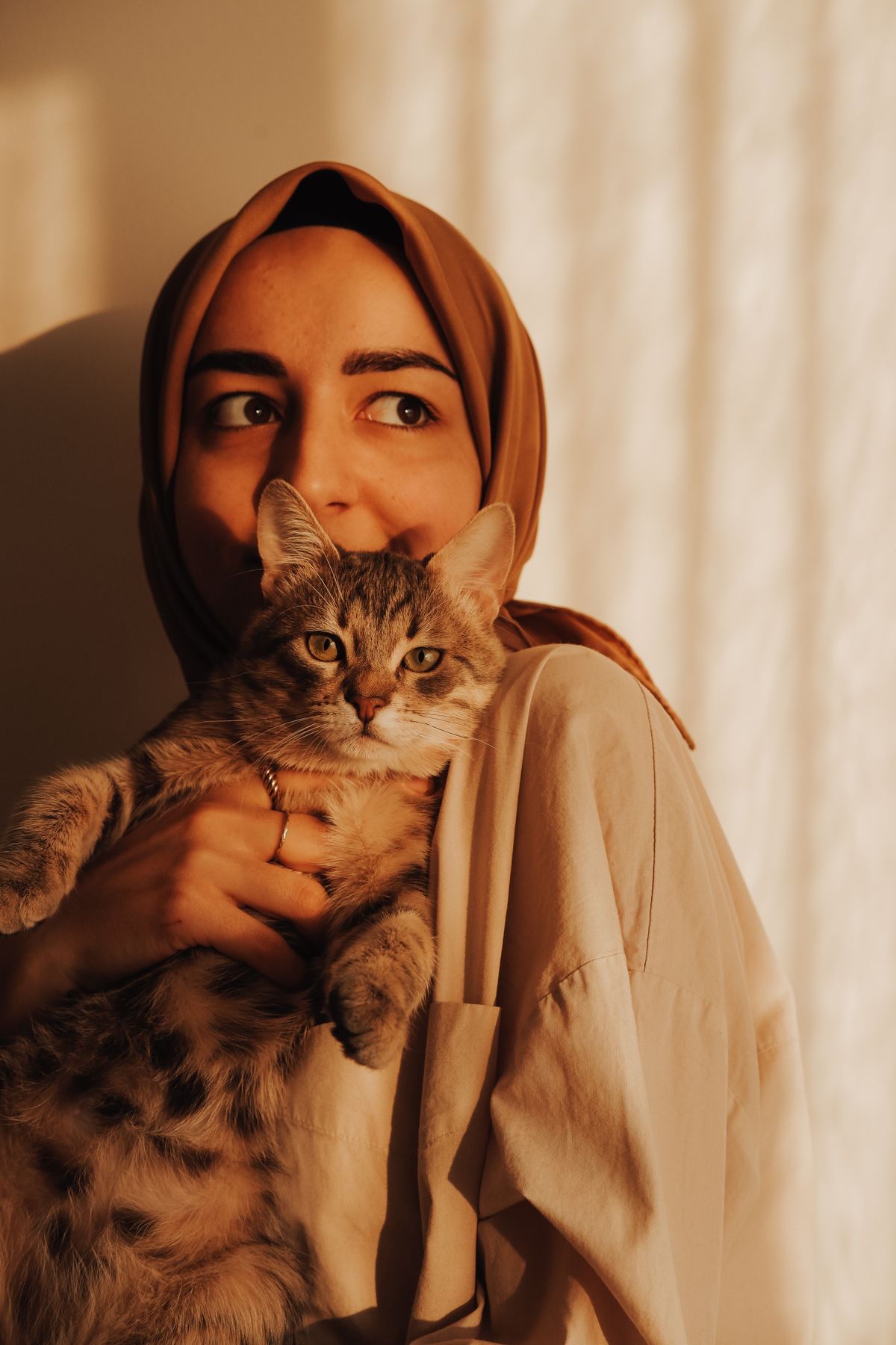 cat-hijab-photos-download-the-best-free-cat-hijab-stock-photos-hd-images