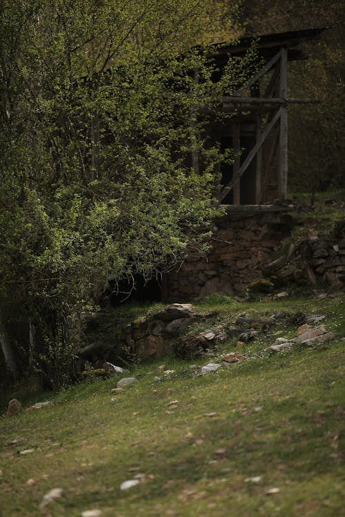 Ruins of a Building on a Grass Field 