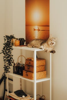 A playful cat yawning on a shelf in a cozy apartment corner with warm decor.