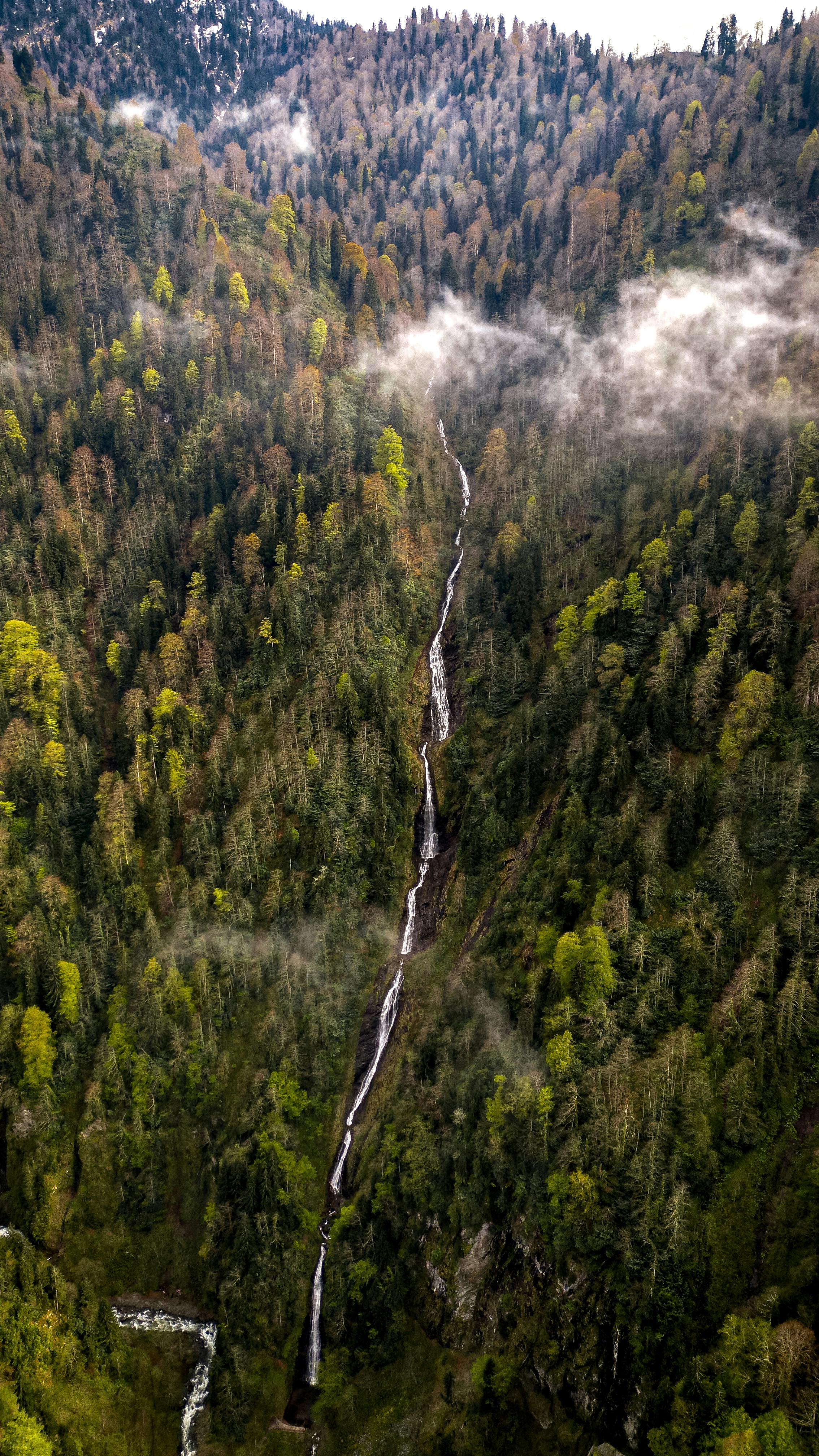 Immerse in nature with this stunning aerial shot of a secluded waterfall amidst a lush forest.