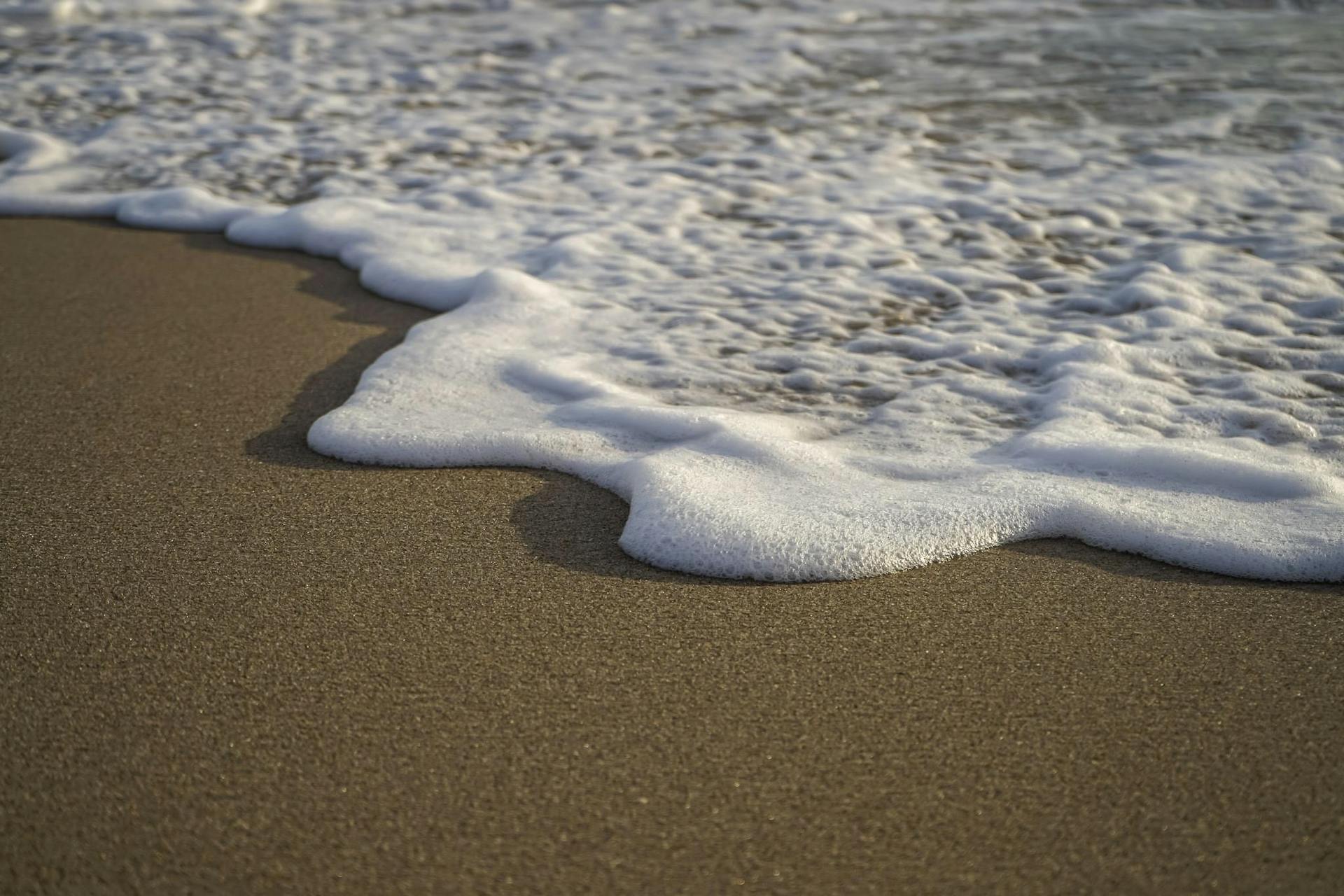 Close-up of waves and foam on the sandy shore of Fort Lauderdale