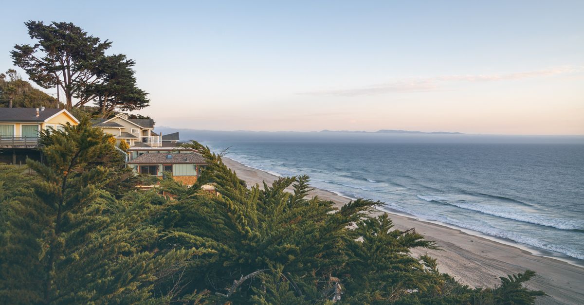 Beautiful coastal scenery with houses overlooking the ocean and pine trees.