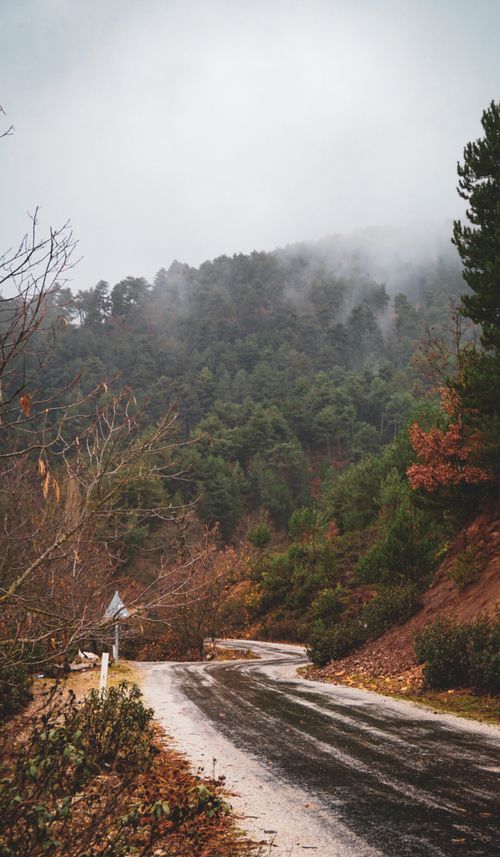 Free A winding road through misty, forested mountains in autumn. Perfect for travel and nature themes. Stock Photo