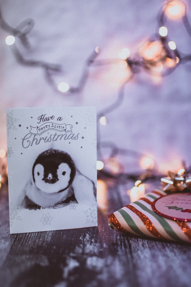 Christmas Greeting Card Near Gift