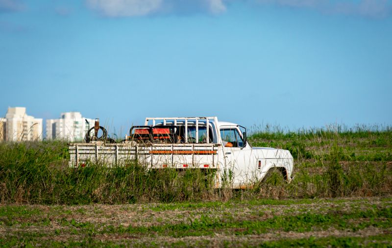 White flatbed pickup parked in tall grass, photo by kall on Pexels