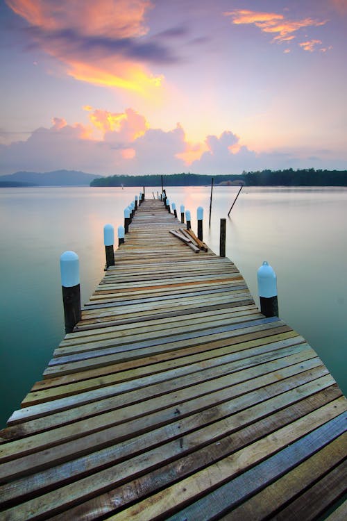 Brown Wooden Dock Beside Body of Water