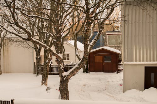 Immagine gratuita di inverno, neve, reykjavik