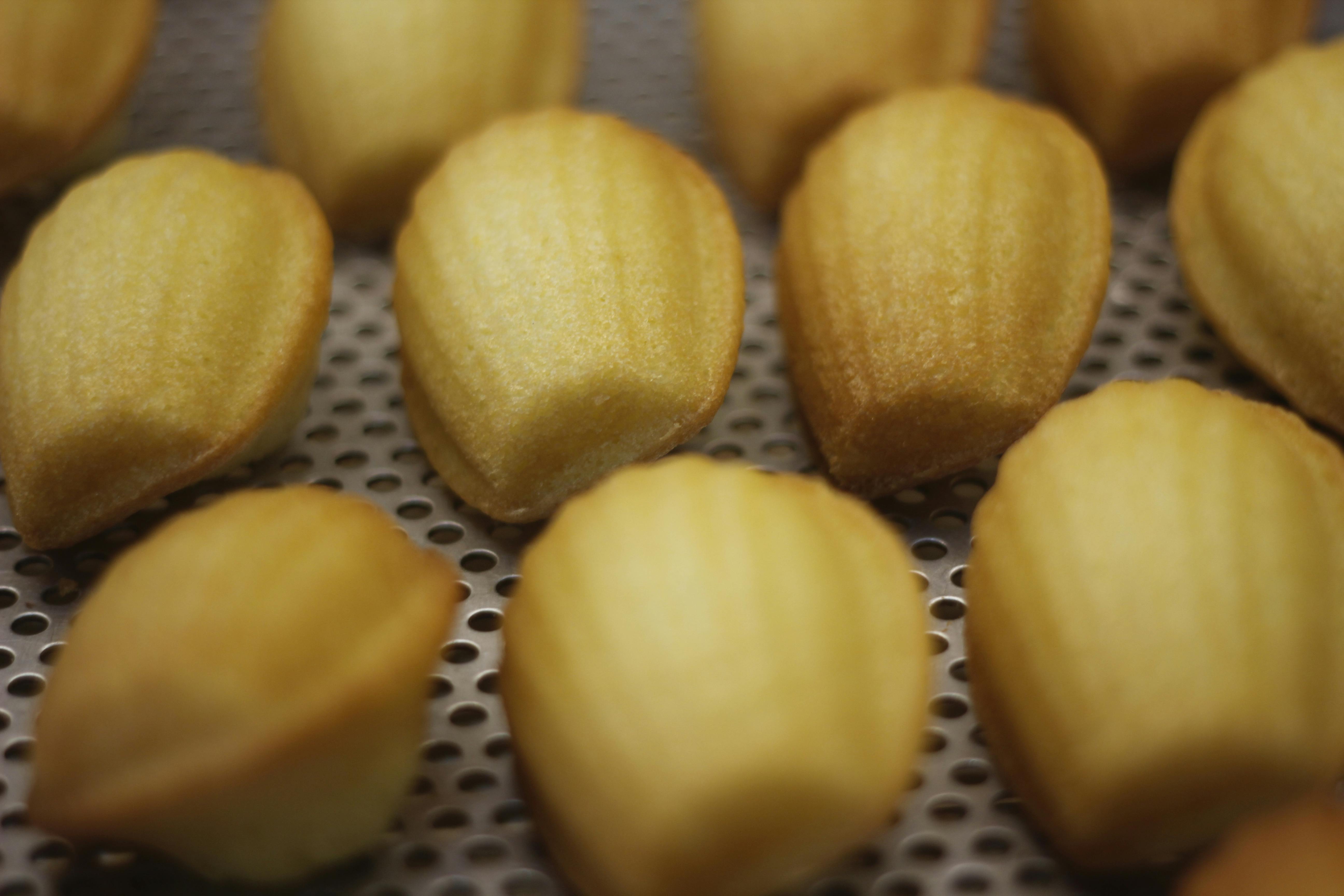 fresh butter madeleines