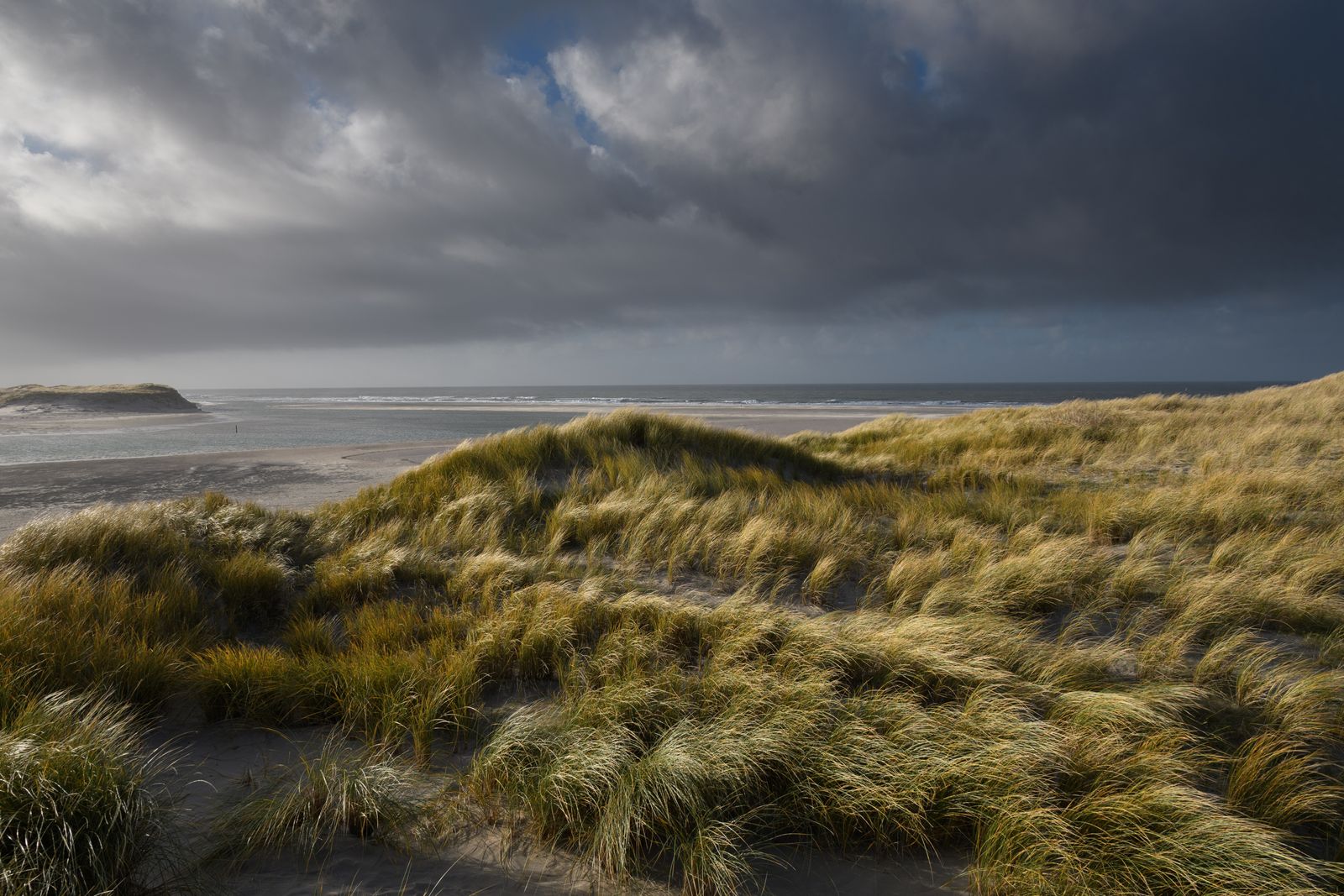 Dune landscape near Den Burg, Texel