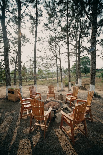A quiet RV campsite with pine trees, a picnic table, and soft morning light