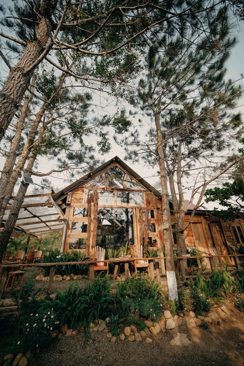 Foto d'estoc gratuïta de arbres, cadires, casa