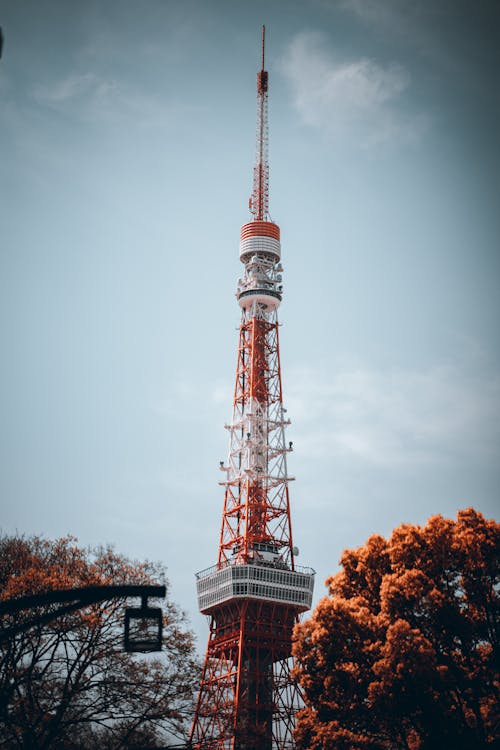 Torre De Tokio
