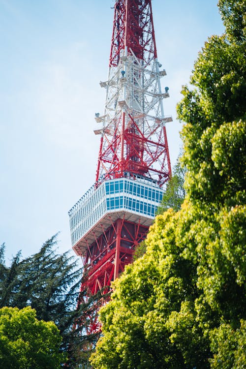 View of the Tokyo Tower and Green Trees 