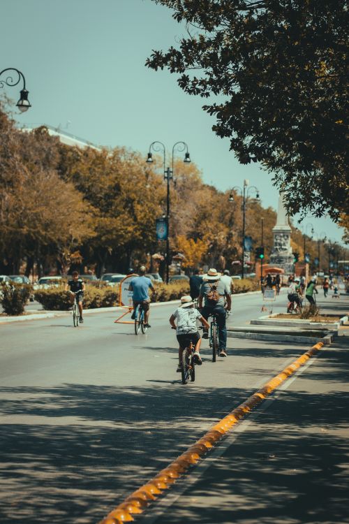 Free A group of people cycling on a sunny day in a tree-lined city street, perfect for outdoor recreation and urban living themes. Stock Photo